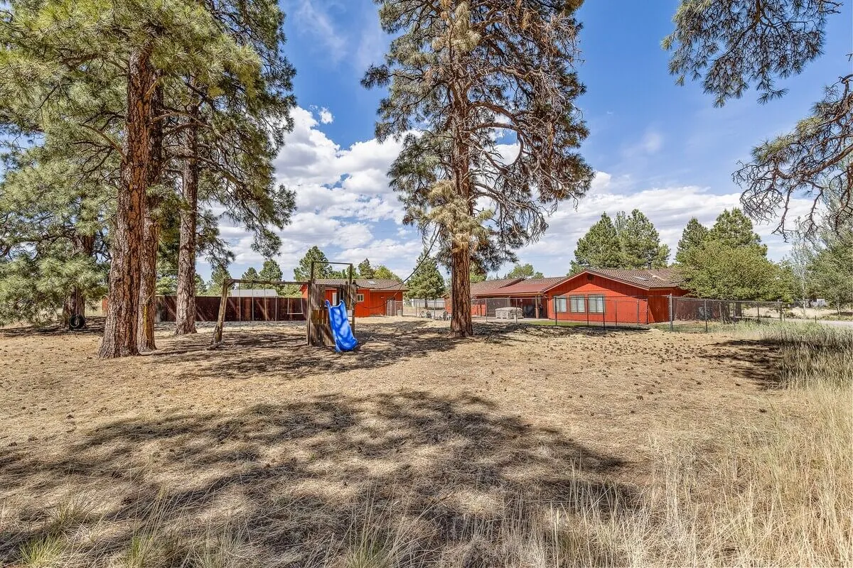 A cheerful exterior scene featuring tall pine trees, red houses, and playground equipment. Children are playing nearby while families gather and relax in the outdoor space, surrounded by nature.